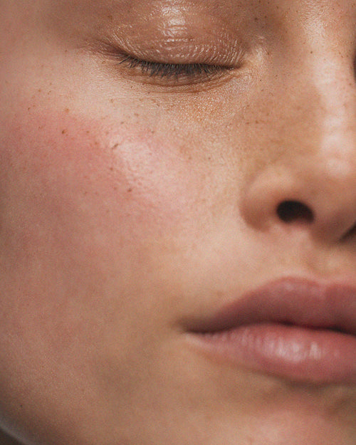 Skin Perfector SeboClear